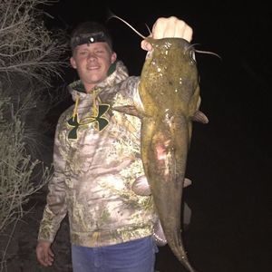 Meet your Posher, Cole